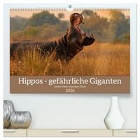 Produktbild: Hippos - Gef&auml;hrliche Giganten (hochwertiger Premium Wandkalender 2026 DIN A2 quer), Kunstdruck in Hochglanz