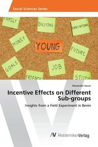 Produktbild: Incentive Effects on Different Sub-groups