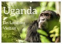 Produktbild: Uganda - ein Land der Vielfalt (Wandkalender 2026 DIN A2 quer), CALVENDO Monatskalender