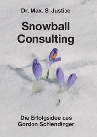 Produktbild: Snowball Consulting