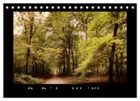 Produktbild: Der Reichswald bei Kleve (Tischkalender 2026 DIN A5 quer), CALVENDO Monatskalender
