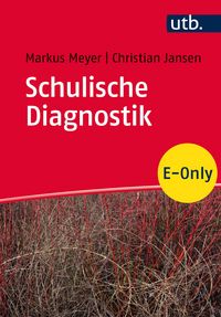 Produktbild: Schulische Diagnostik