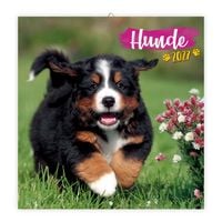 Produktbild: TR&Ouml;TSCH - Brosch&uuml;renkalender Hunde 2027