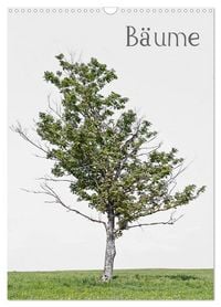 Produktbild: B&auml;ume (Wandkalender 2026 DIN A3 hoch), CALVENDO Monatskalender
