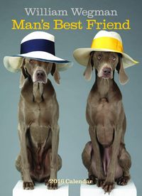 Produktbild: William Wegman Man's Best Friend