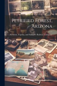 Produktbild: Petrified Forest, Arizona
