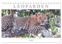 Produktbild: Leoparden - Geheimnisvolle J&auml;ger (Tischkalender 2026 DIN A5 quer), CALVENDO Monatskalender