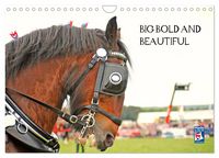 Produktbild: BIG BOLD AND BEAUTIFUL (Wall Calendar 2026 DIN A4 landscape), CALVENDO 12 Month Wall Calendar