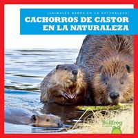 Produktbild: Cachorros de Castor En La Naturaleza (Beaver Kits in the Wild)