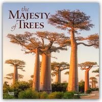 Produktbild: The Majesty of Trees &ndash; Die Erhabenheit der B&auml;ume 2026 &ndash; 16-Monatskalender