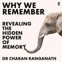 Produktbild: Why We Remember