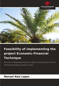 Produktbild: Feasibility of implementing the project Economic-Financial Technique