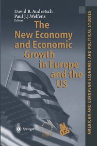 Produktbild: The New Economy and Economic Growth in Europe and the US