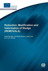 Produktbild: Reduction, Modification and Valorisation of Sludge