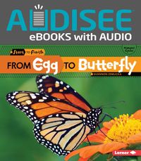 Produktbild: From Egg to Butterfly