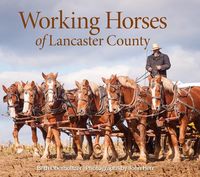 Produktbild: Working Horses of Lancaster County