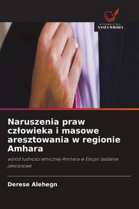 Produktbild: Naruszenia praw cz&iquest;owieka i masowe aresztowania w regionie Amhara