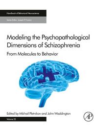 Produktbild: Modeling the Psychopathological Dimensions of Schizophrenia