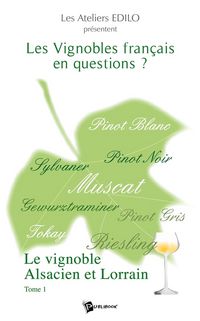 Produktbild: Les vignobles francais en questions
