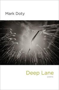 Produktbild: Deep Lane