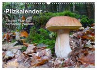 Produktbild: Pilzkalender (Wandkalender 2026 DIN A3 quer), CALVENDO Monatskalender
