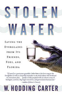 Produktbild: Stolen Water