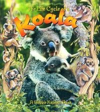Produktbild: Life Cycle Of a Koala
