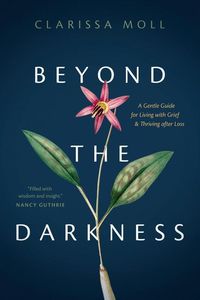 Produktbild: Beyond the Darkness