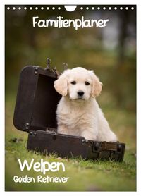 Produktbild: Familienplaner: Golden Retriever Welpen (Wandkalender 2027 DIN A4 hoch), CALVENDO Monatskalender