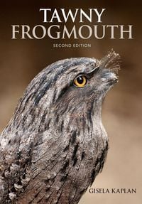 Produktbild: Tawny Frogmouth