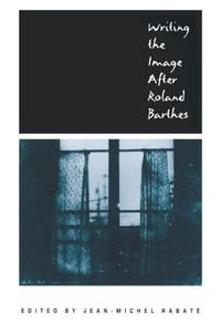 Produktbild: Writing the Image After Roland Barthes