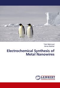 Produktbild: Electrochemical Synthesis of Metal Nanowires