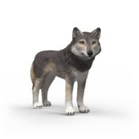 Produktbild: schleich&reg; 14991 Amerikanischer Wolf