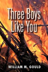 Produktbild: Three Boys Like You