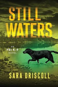 Produktbild: Still Waters