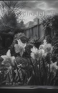 Produktbild: Asphodel