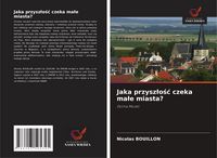 Produktbild: Jaka przysz&iquest;o&iquest;&iquest; czeka ma&iquest;e miasta?