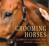 Produktbild: Grooming Horses