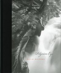 Produktbild: Pilgrim Eye