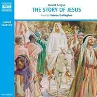 Produktbild: The Story of Jesus