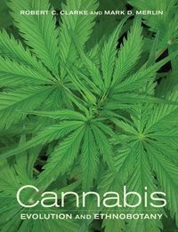 Produktbild: Clarke, R: Cannabis - Evolution and Ethnobotany
