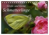 Produktbild: Gro&szlig;e und kleine Schmetterlinge (Tischkalender 2027 DIN A5 quer), CALVENDO Monatskalender