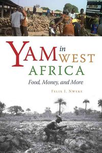 Produktbild: Yam in West Africa