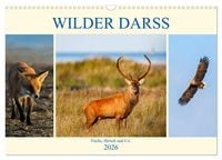 Produktbild: Wilder Dar&szlig; - Fuchs, Hirsch und Co. 2026 (Wandkalender 2026 DIN A3 quer), CALVENDO Monatskalender