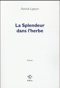 Produktbild: La splendeur dans l'herbe