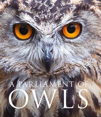 Produktbild: Unwin, M: A Parliament of Owls