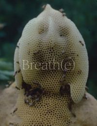 Produktbild: Breath(e): Toward Climate and Social Justice