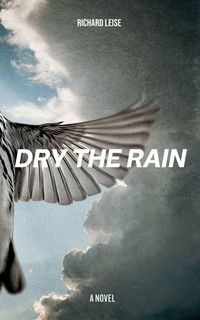 Produktbild: Dry The Rain
