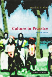 Produktbild: Culture in Practice: Selected Essays