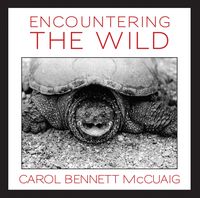 Produktbild: Encountering the Wild